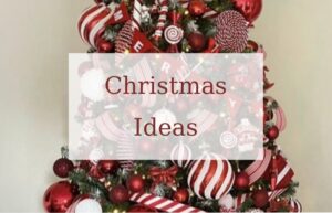 Lire la suite à propos de l’article Idées Décoration Noël