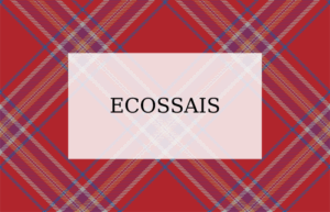 Lire la suite à propos de l’article Thème NOËL ECOSSAIS