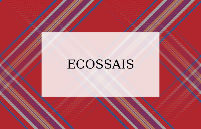 Lire la suite à propos de l’article Thème NOËL ECOSSAIS