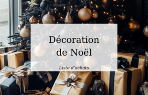Lire la suite à propos de l’article Liste d’achat Thèmes de Noël 2024